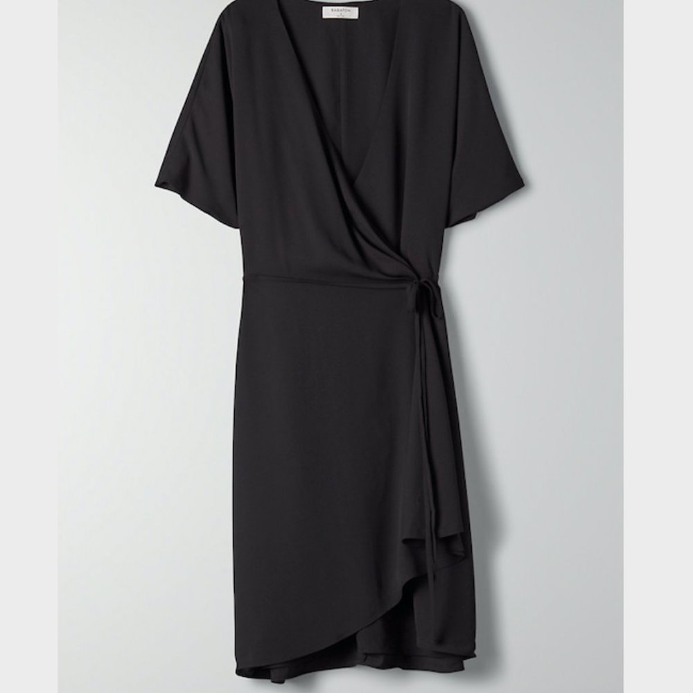 Babaton Aritzia Wallace Dress